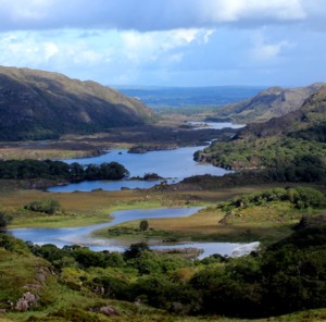 Kerry